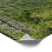 Inspiration Point in Yosemite National Park Poster (Ecke)