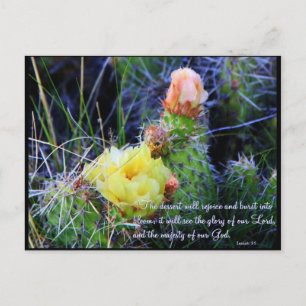 Inspiration PostCard - Kakteen in Bloom Postkarte