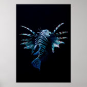 Inspiration Poster (Vorne)