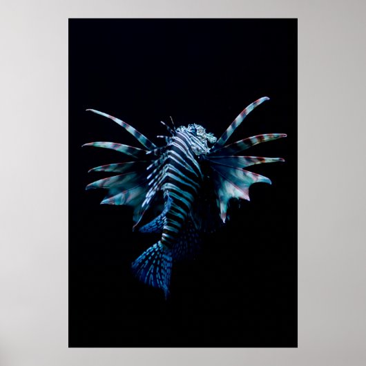 Inspiration Poster (Vorne)