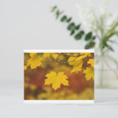 Inspiration Postkarte (Stehend Vorderseite)