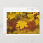 Inspiration Postkarte (Vorne/Hinten)