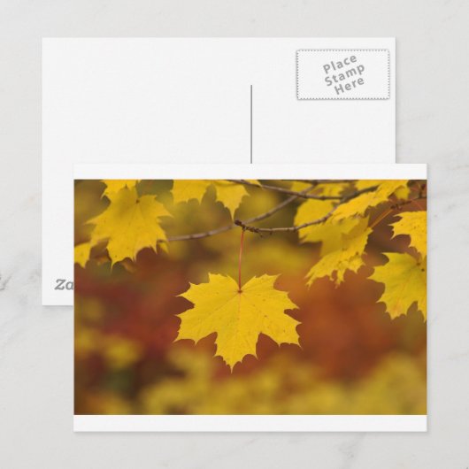 Inspiration Postkarte (Vorne/Hinten)