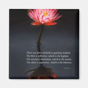 Inspiration - Reflektion - Konfuzius Magnet