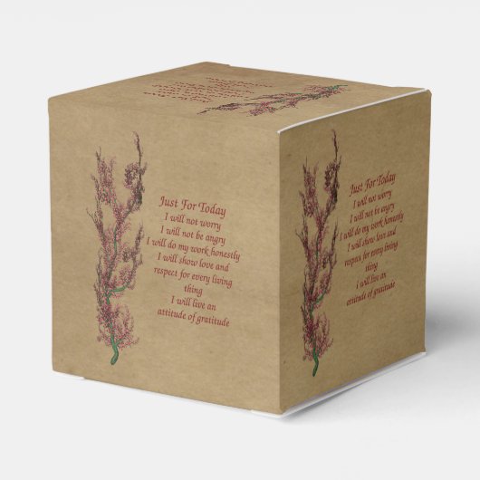 Inspiration Reiki nur für heute Geschenkschachtel (Rückseite)