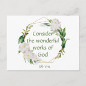 Inspiration Scripting White Roses Blume Postkarte (Vorderseite)