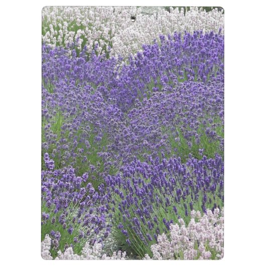 Inspiration Serenity Gebet Lavendel Garten Klemmbrett (Rückseite)