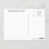 Inspiration Serenity Gebet Sunlit Forest Postkarte (Rückseite)