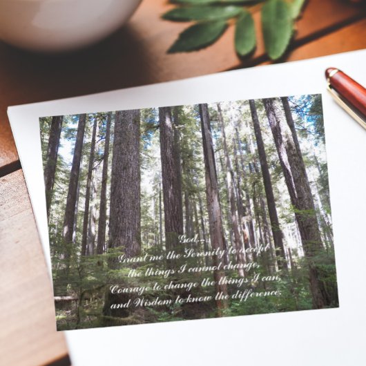 Inspiration Serenity Gebet Sunlit Forest Postkarte