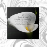 Inspiration Serenity Gebet Weiße Calla Liege Fliese<br><div class="desc">Keramik-Kachel mit dem Foto einer eleganten,  weißen Calla Lily Blüte,  zusammen mit den inspirierenden Worten des Serenity Gebet. Ein schönes,  blumengeschmücktes Design! Wählen Sie Ihre Kachelgröße aus. Macht ein nachdenkliches Geschenk für Familie und Freunde!</div>