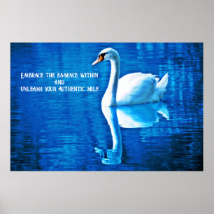 Inspiration Swan Reflection Blau & Weiß Poster