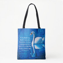Inspiration Swan Reflection Blau & Weiß