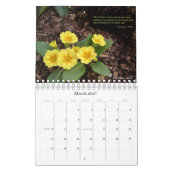 Inspiration vom Garten Kalender (Mär 2027)