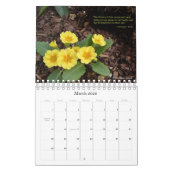 Inspiration vom Garten Kalender (Mär 2026)