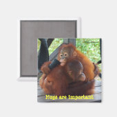 Inspiration von Babys: Hugs sind wichtig Magnet (Vorderseite/Rückseite)