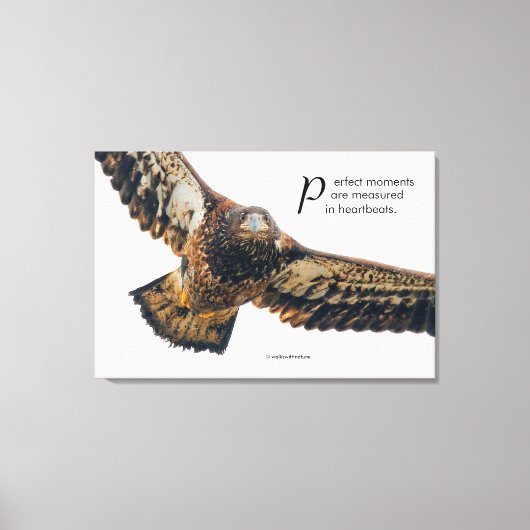 Inspiration Zitat Adler im Flug Leinwanddruck (Vorderseite)