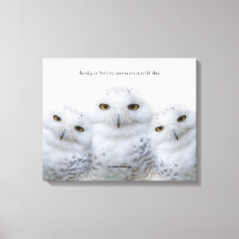 Inspiration Zitat Dreamy Weisheit der Schneehügel Leinwanddruck