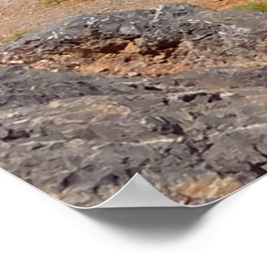 Inspirational Bible Verse Custom Jeremiah 29:12-13 Poster (Ecke)