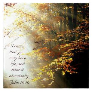 Inspirational Bible Verse John 10 10 Fall Trees Fliese
