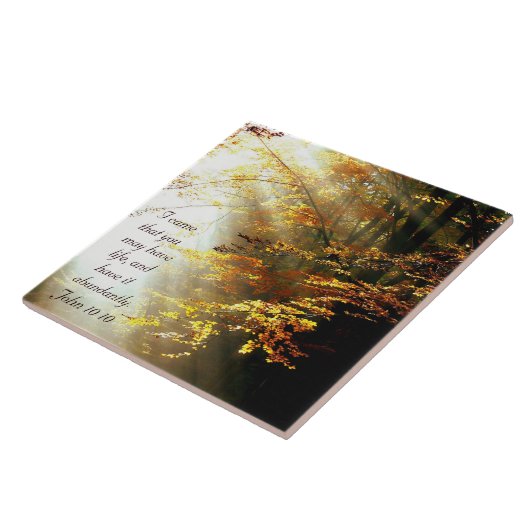 Inspirational Bible Verse John 10 10 Fall Trees Fliese (Seite)