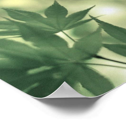 Inspirational Nature Quote Poster (Ecke)