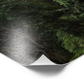 Inspirational St. Francis Zitat Fotodruck (Ecke)