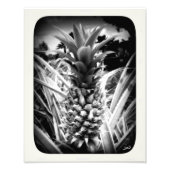 Inspirationsblitz Fotodruck (Vorne)