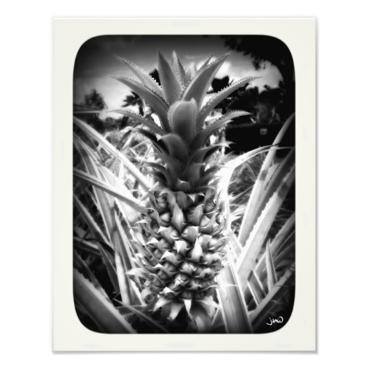 Inspirationsblitz Fotodruck (Vorne)