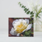 Inspirationsblühende Postkarte (Stehend Vorderseite)