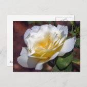 Inspirationsblühende Postkarte (Vorne/Hinten)