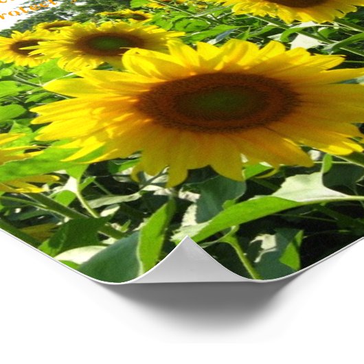 Inspirationsblume-Poster Poster (Ecke)