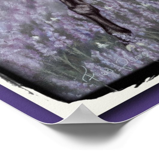 Inspirationsfeld der Träume Poster (Ecke)