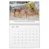 Inspirationsfreier Tierkalender Kalender (Mär 2027)