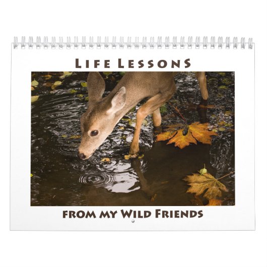 Inspirationsfreier Tierkalender Kalender (Titelbild)