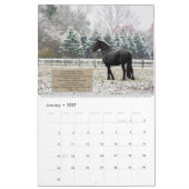 Inspirationsfrieskalender Kalender (Jan 2027)