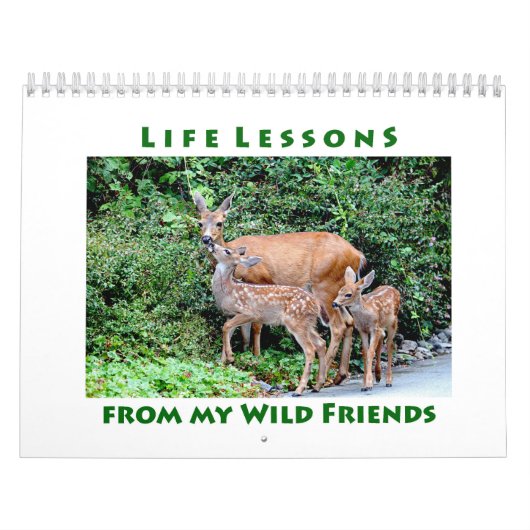 Inspirationskalender für Wildtiere Kalender (Titelbild)