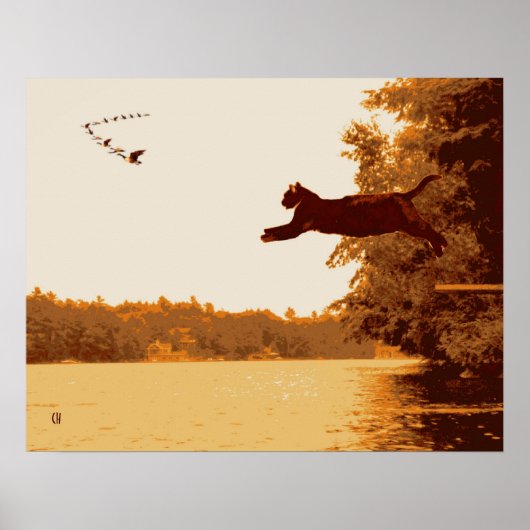 Inspirationskatze Poster (Vorne)