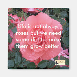 Inspirationsmagnete - Behaltend Magnet