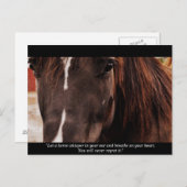 InspirationsPferdepostkarte Postkarte (Vorne/Hinten)