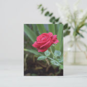 Inspirationspostkarte Postkarte (Stehend Vorderseite)