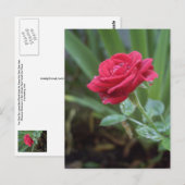 Inspirationspostkarte Postkarte (Vorne/Hinten)
