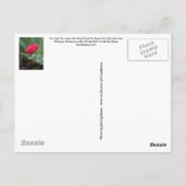 Inspirationspostkarte Postkarte (Rückseite)