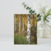 Inspirationspostkarte Postkarte (Stehend Vorderseite)