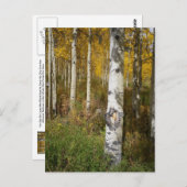 Inspirationspostkarte Postkarte (Vorne/Hinten)