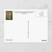 Inspirationspostkarte Postkarte (Rückseite)