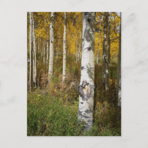 Inspirationspostkarte Postkarte