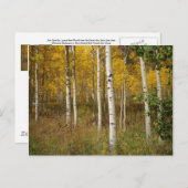 Inspirationspostkarte Postkarte (Vorne/Hinten)