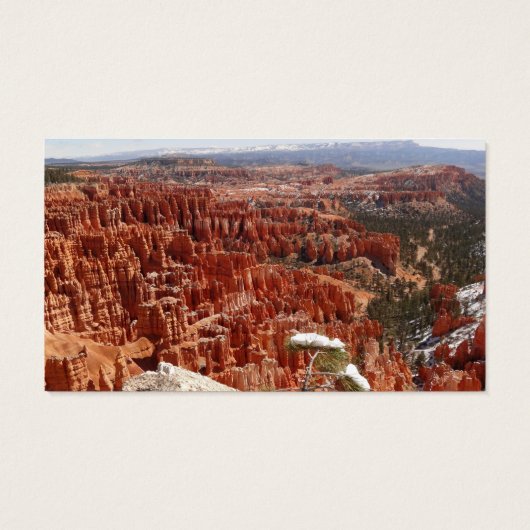 Inspirationspunkt am Bryce Canyon I (Rückseite)