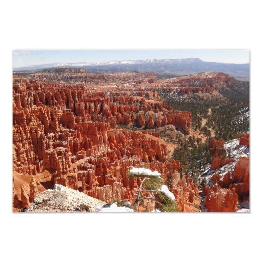 Inspirationspunkt am Bryce Canyon I Fotodruck (Vorne)