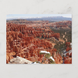 Inspirationspunkt am Bryce Canyon I Postkarte